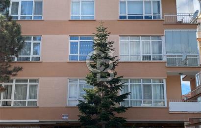 Ayrancı Tirebolu Sokak'ta 3+1 Satılık Daire