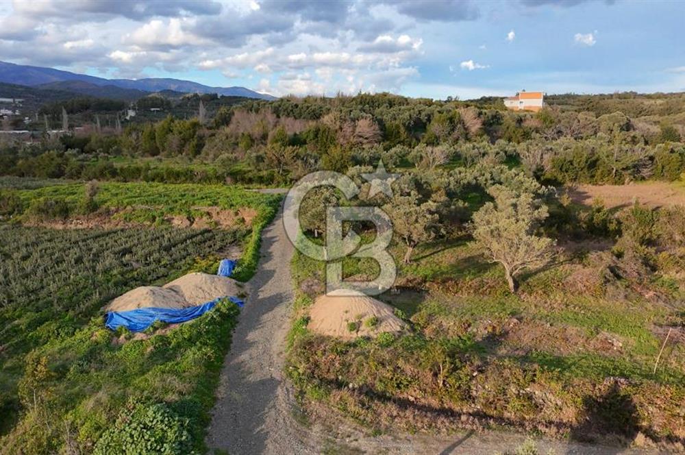 634 m² YATIRIMLIK ARSA BARAJ YOLU ÜZERİ