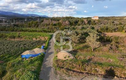 634 m² YATIRIMLIK ARSA BARAJ YOLU ÜZERİ