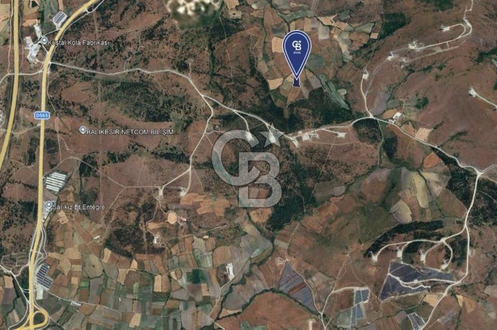 CB KİNG'DEN BALIKESİR/KÜRSE MAHALLESİ 6935m² SATILIK TARLA