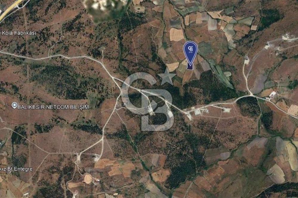 CB KİNG'DEN BALIKESİR/KÜRSE MAHALLESİ 6935m² SATILIK TARLA