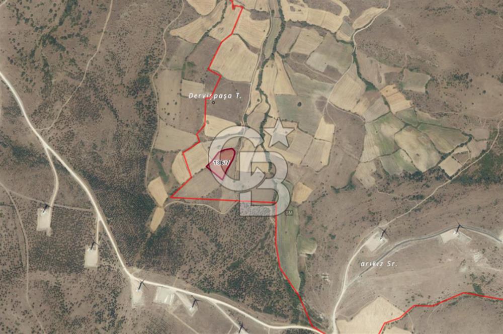 CB KİNG'DEN BALIKESİR/KÜRSE MAHALLESİ 6935m² SATILIK TARLA