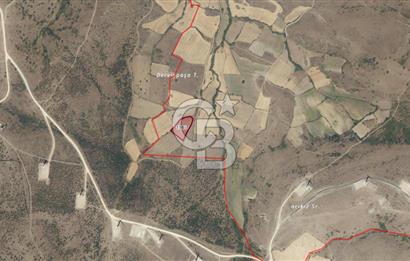 CB KİNG'DEN BALIKESİR/KÜRSE MAHALLESİ 6935m² SATILIK TARLA