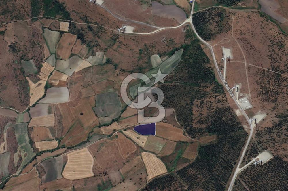 CB KİNG'DEN BALIKESİR/KÜRSE MAHALLESİ 6935m² SATILIK TARLA