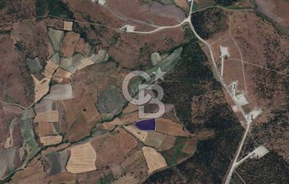 CB KİNG'DEN BALIKESİR/KÜRSE MAHALLESİ 6935m² SATILIK TARLA