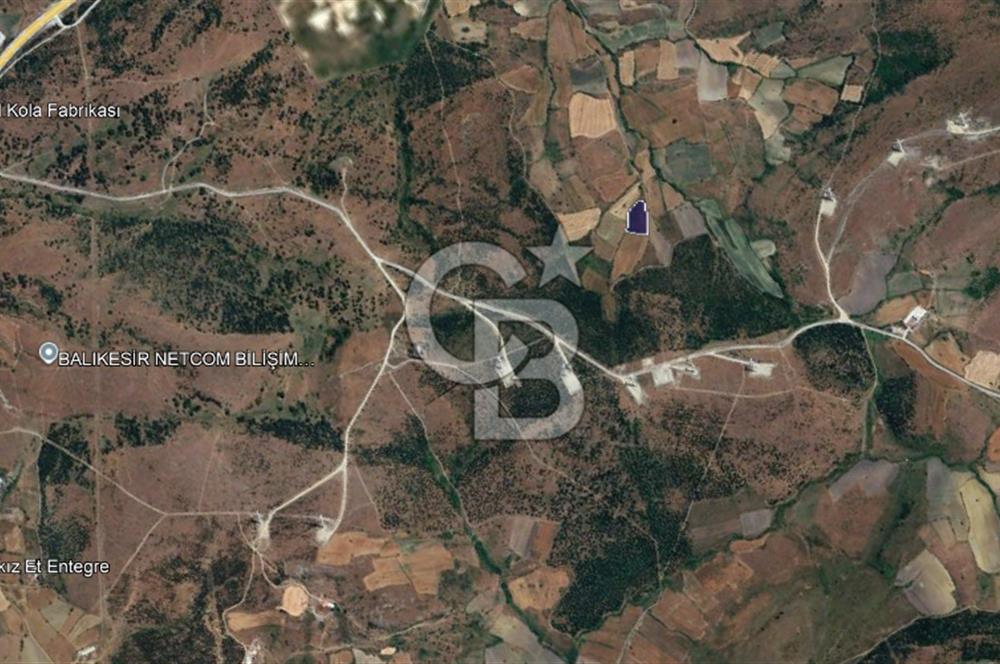 CB KİNG'DEN BALIKESİR/KÜRSE MAHALLESİ 6935m² SATILIK TARLA