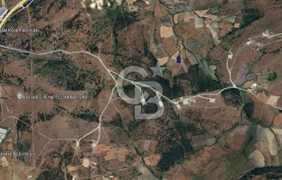 CB KİNG'DEN BALIKESİR/KÜRSE MAHALLESİ 6935m² SATILIK TARLA