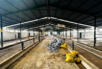 CB ENVOY Konya Kulu'da 1000 Büyükbaş Hayvan Kapasiteli Çiftlik - 2 - 336613