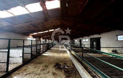 CB ENVOY Konya Kulu'da 1000 Büyükbaş Hayvan Kapasiteli Çiftlik