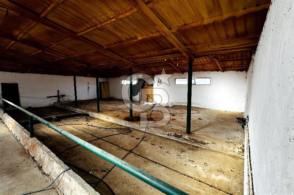 CB ENVOY Konya Kulu'da 1000 Büyükbaş Hayvan Kapasiteli Çiftlik