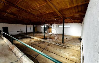 CB ENVOY Konya Kulu'da 1000 Büyükbaş Hayvan Kapasiteli Çiftlik