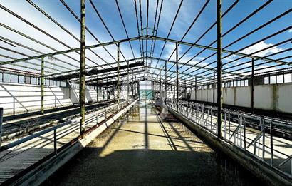 CB ENVOY Konya Kulu'da 1000 Büyükbaş Hayvan Kapasiteli Çiftlik