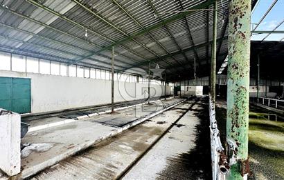 CB ENVOY Konya Kulu'da 1000 Büyükbaş Hayvan Kapasiteli Çiftlik