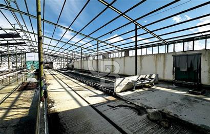 CB ENVOY Konya Kulu'da 1000 Büyükbaş Hayvan Kapasiteli Çiftlik