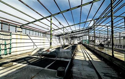 CB ENVOY Konya Kulu'da 1000 Büyükbaş Hayvan Kapasiteli Çiftlik