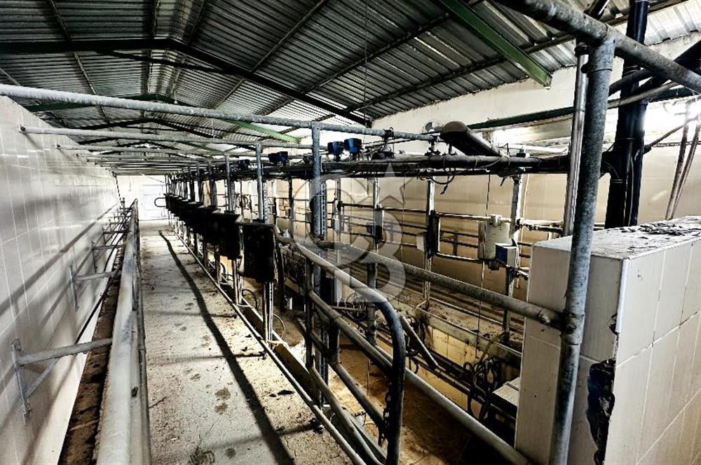 CB ENVOY Konya Kulu'da 1000 Büyükbaş Hayvan Kapasiteli Çiftlik