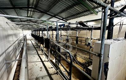 CB ENVOY Konya Kulu'da 1000 Büyükbaş Hayvan Kapasiteli Çiftlik