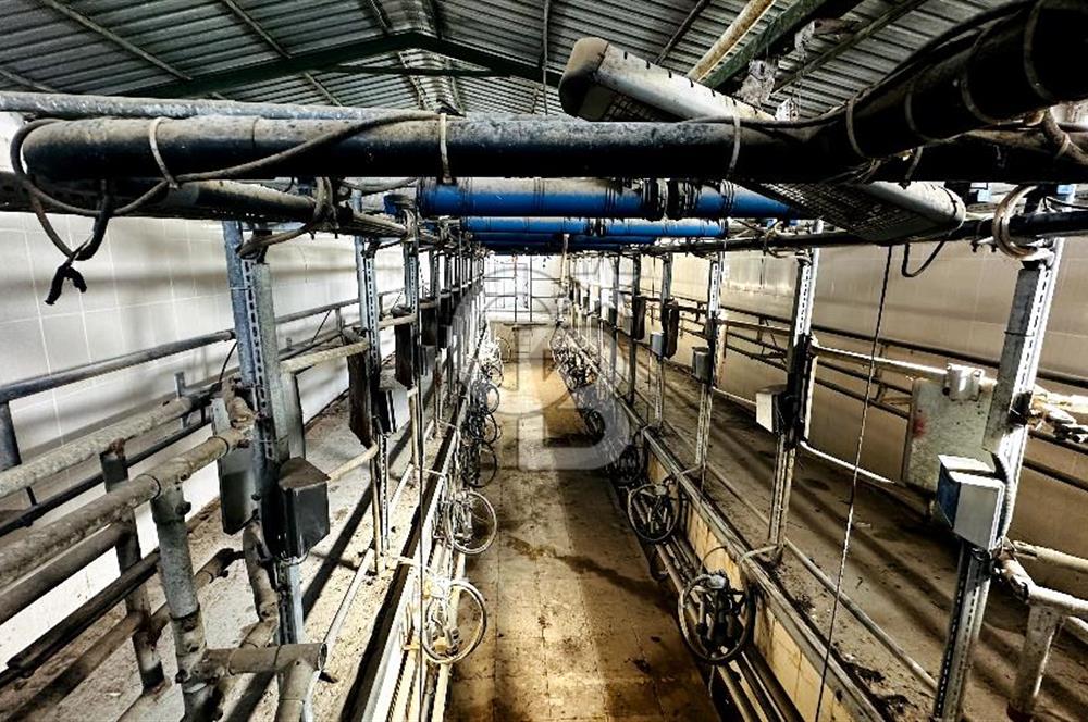 CB ENVOY Konya Kulu'da 1000 Büyükbaş Hayvan Kapasiteli Çiftlik