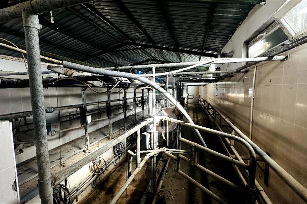 CB ENVOY Konya Kulu'da 1000 Büyükbaş Hayvan Kapasiteli Çiftlik