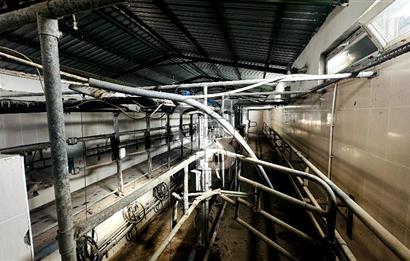 CB ENVOY Konya Kulu'da 1000 Büyükbaş Hayvan Kapasiteli Çiftlik