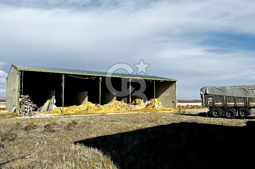 CB ENVOY Konya Kulu'da 1000 Büyükbaş Hayvan Kapasiteli Çiftlik