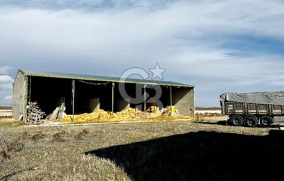 CB ENVOY Konya Kulu'da 1000 Büyükbaş Hayvan Kapasiteli Çiftlik