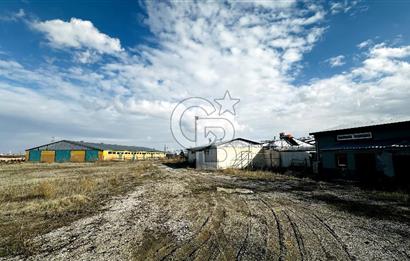 CB ENVOY Konya Kulu'da 1000 Büyükbaş Hayvan Kapasiteli Çiftlik