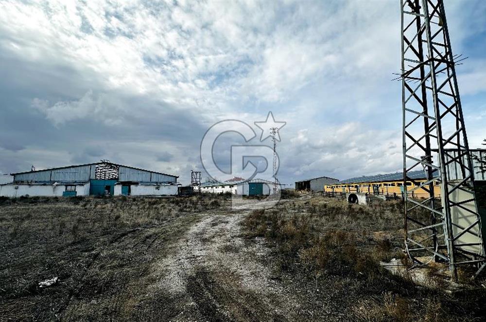 CB ENVOY Konya Kulu'da 1000 Büyükbaş Hayvan Kapasiteli Çiftlik