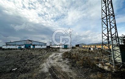 CB ENVOY Konya Kulu'da 1000 Büyükbaş Hayvan Kapasiteli Çiftlik