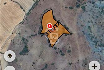 Balıkesir Sındırgı Osmanlarda 7.422 m² tarla - 2 - 336644