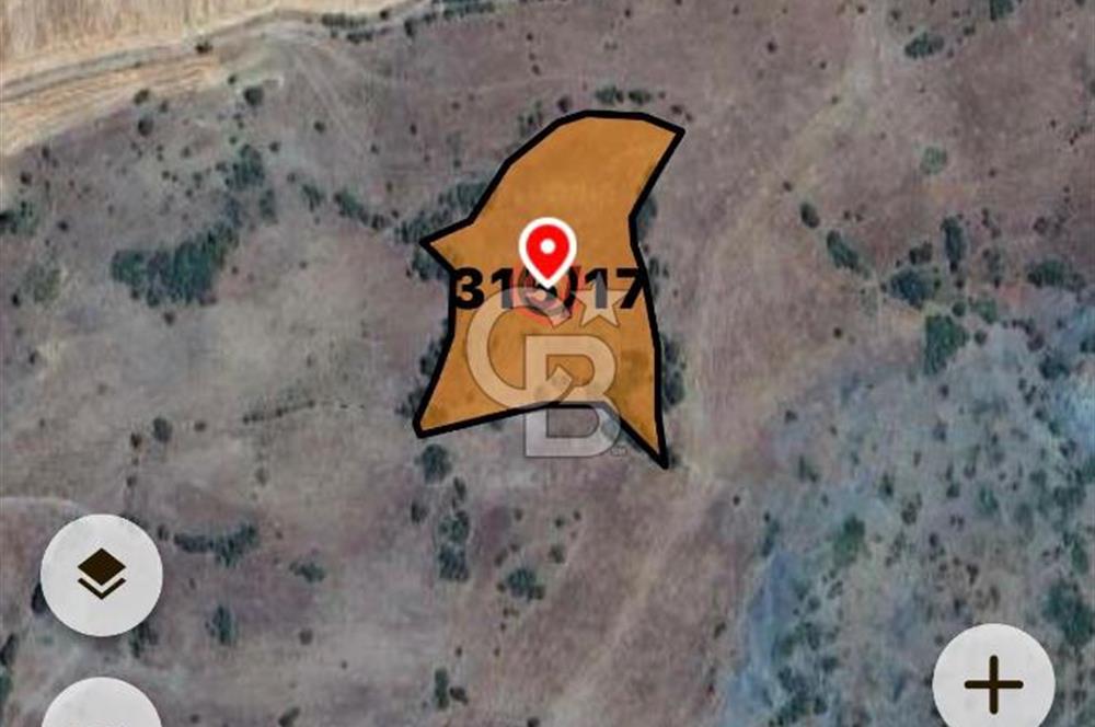 Balıkesir Sındırgı Osmanlarda 7.422 m² tarla