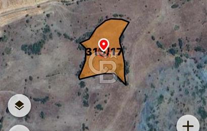 Balıkesir Sındırgı Osmanlarda 7.422 m² tarla