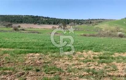 CB KİNG'DEN BALIKESİR/KÜRSE MAHALLESİ 6935m² SATILIK TARLA