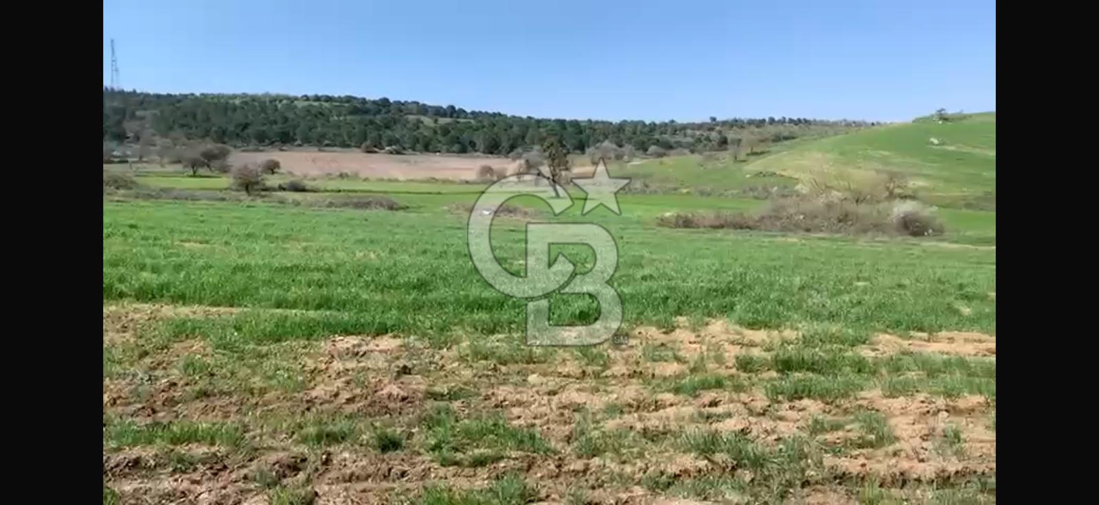 CB KİNG'DEN BALIKESİR/KÜRSE MAHALLESİ 6935m² SATILIK TARLA