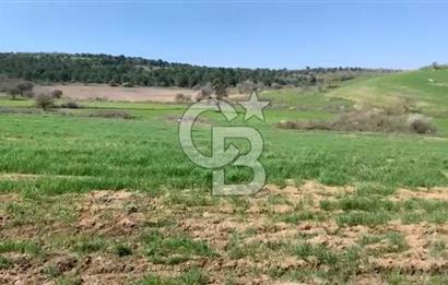 CB KİNG'DEN BALIKESİR/KÜRSE MAHALLESİ 6935m² SATILIK TARLA