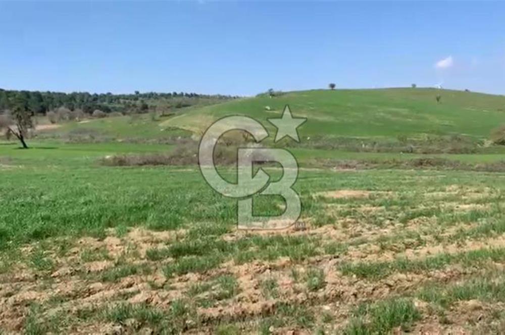 CB KİNG'DEN BALIKESİR/KÜRSE MAHALLESİ 6935m² SATILIK TARLA