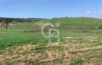 CB KİNG'DEN BALIKESİR/KÜRSE MAHALLESİ 6935m² SATILIK TARLA