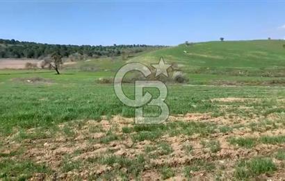 CB KİNG'DEN BALIKESİR/KÜRSE MAHALLESİ 6935m² SATILIK TARLA