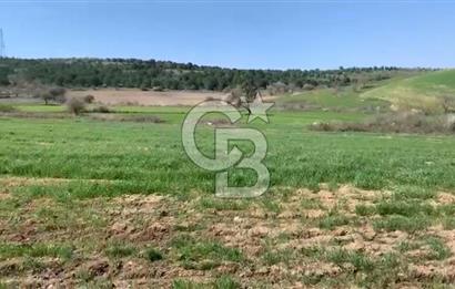 CB KİNG'DEN BALIKESİR/KÜRSE MAHALLESİ 6935m² SATILIK TARLA