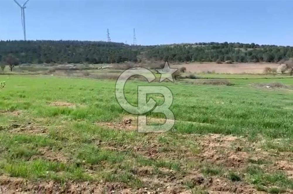 CB KİNG'DEN BALIKESİR/KÜRSE MAHALLESİ 6935m² SATILIK TARLA