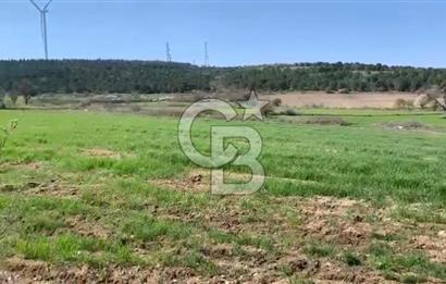 CB KİNG'DEN BALIKESİR/KÜRSE MAHALLESİ 6935m² SATILIK TARLA