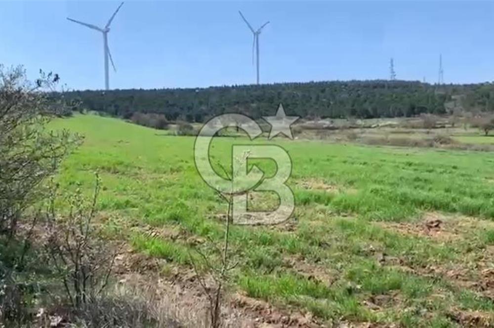 CB KİNG'DEN BALIKESİR/KÜRSE MAHALLESİ 6935m² SATILIK TARLA