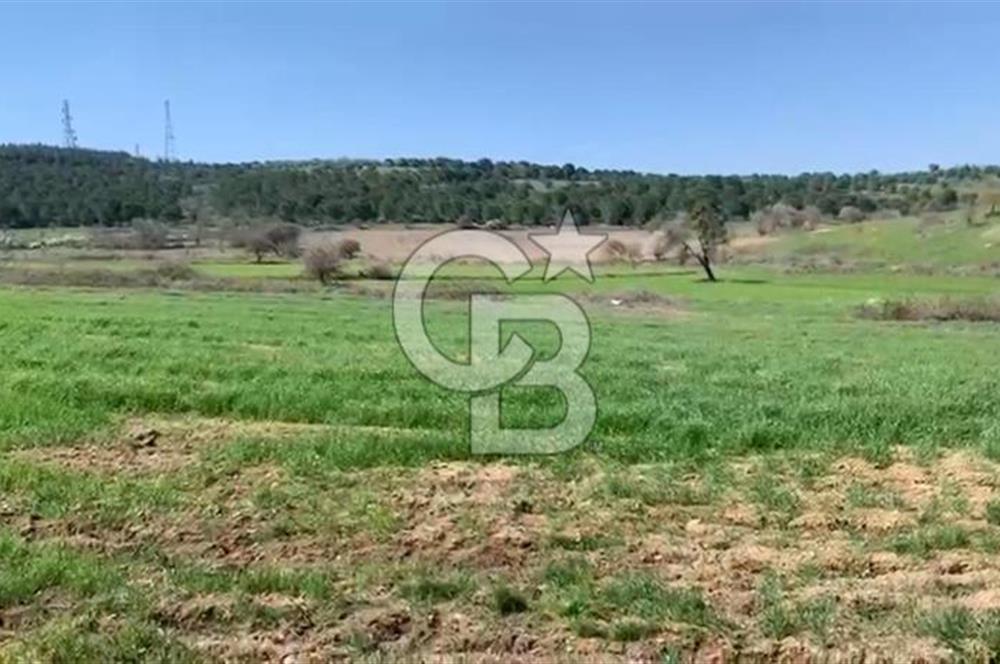 CB KİNG'DEN BALIKESİR/KÜRSE MAHALLESİ 6935m² SATILIK TARLA
