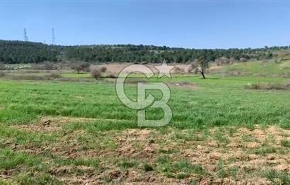 CB KİNG'DEN BALIKESİR/KÜRSE MAHALLESİ 6935m² SATILIK TARLA