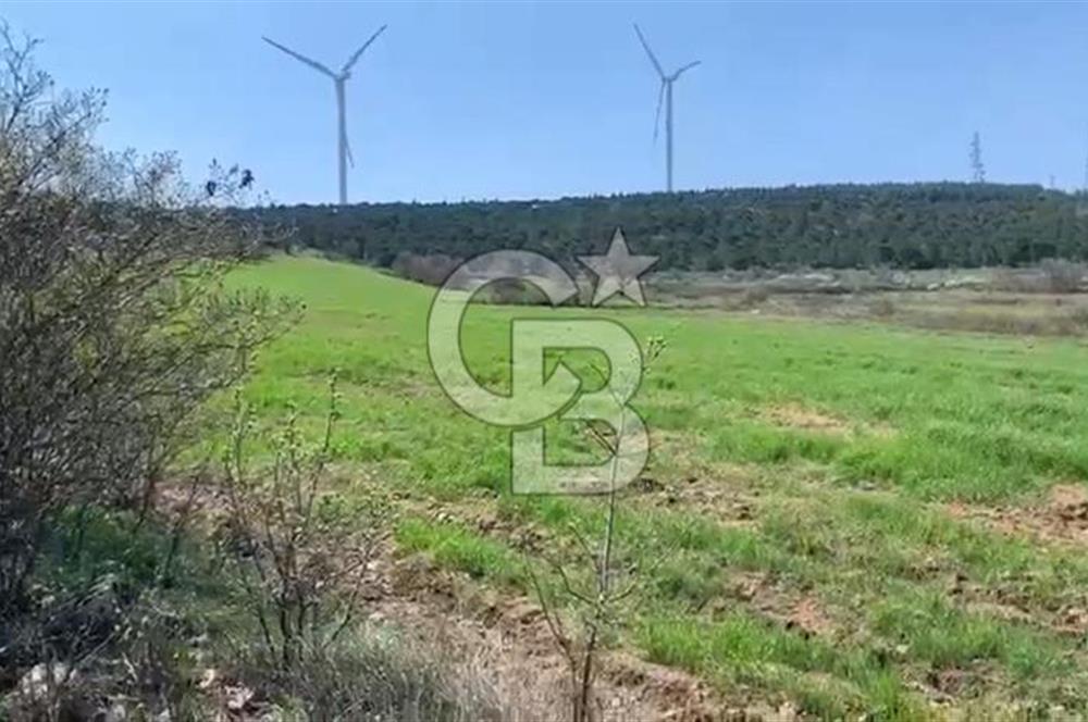 CB KİNG'DEN BALIKESİR/KÜRSE MAHALLESİ 6935m² SATILIK TARLA