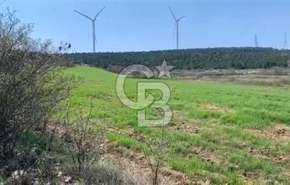 CB KİNG'DEN BALIKESİR/KÜRSE MAHALLESİ 6935m² SATILIK TARLA