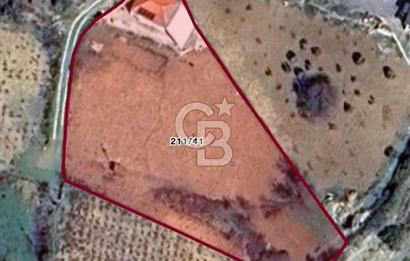   Kavacık Merkezde Satılık Bağ & Bağ Evi – 2.586 m²