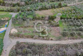 634 m² YATIRIMLIK ARSA BARAJ YOLU ÜZERİ - 5 - 336636