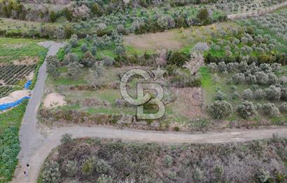 634 m² YATIRIMLIK ARSA BARAJ YOLU ÜZERİ