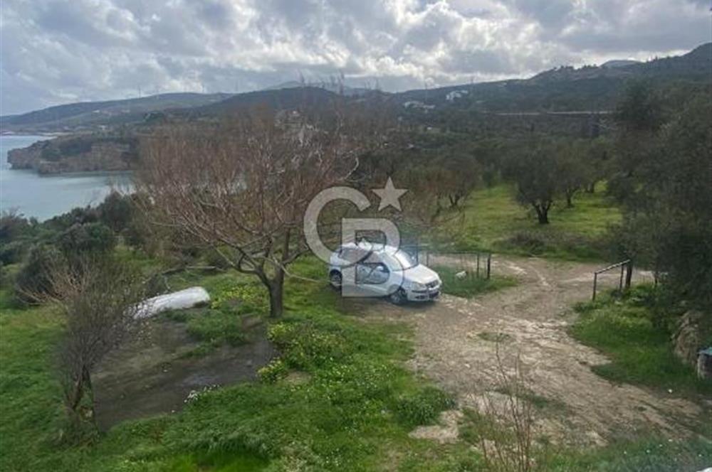 Karaburun Boyabağı'nda Denize Sıfır 2+1 Eşyalı Daire
